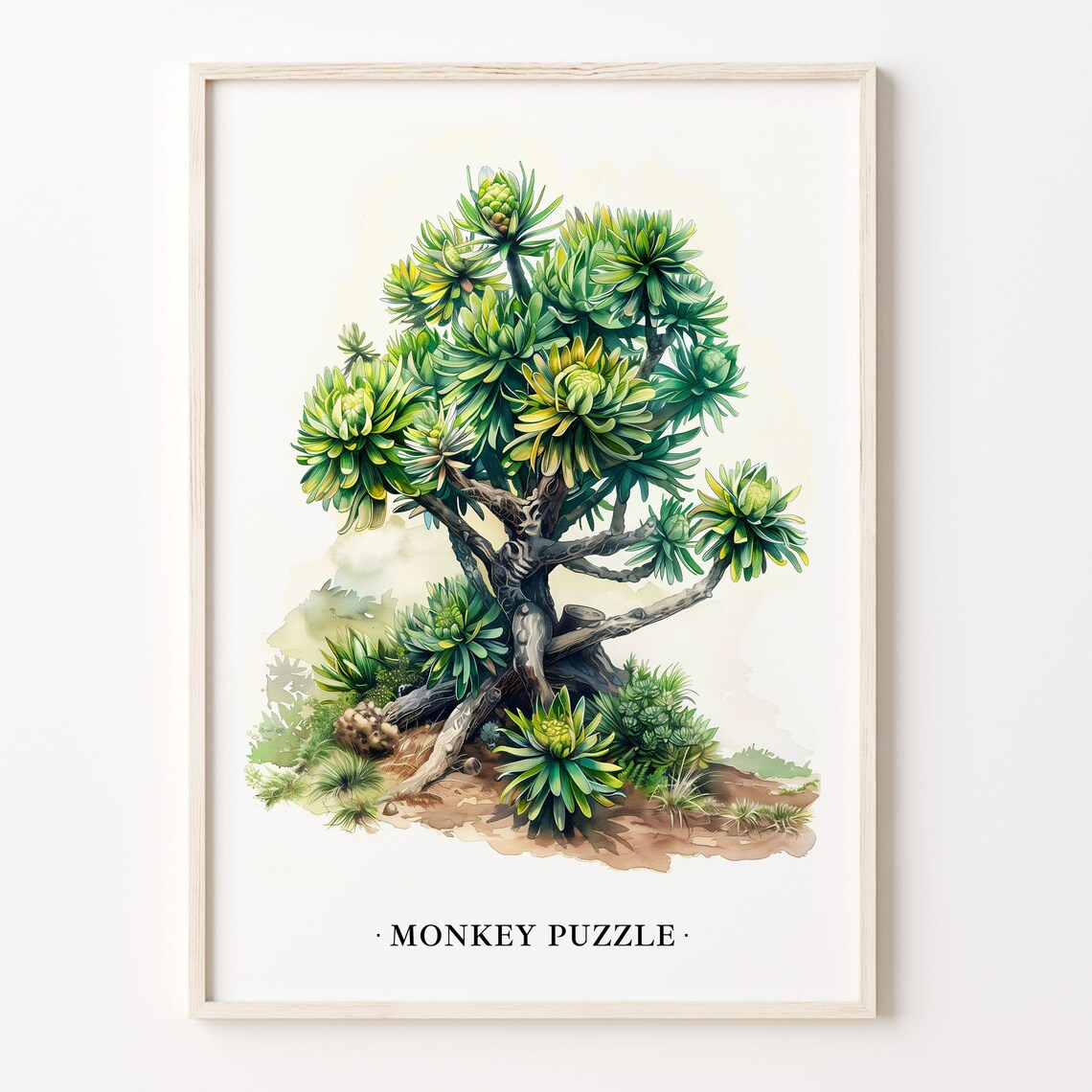 Monkey Puzzle Tree Art Print, Botanical Nature Illustration