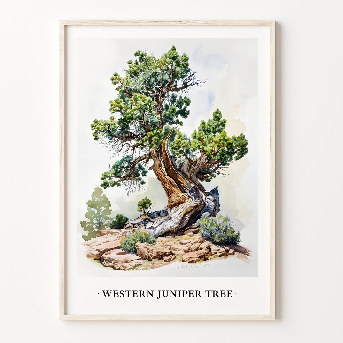 Western Juniper Tree Art Print, Rustic Botanical
