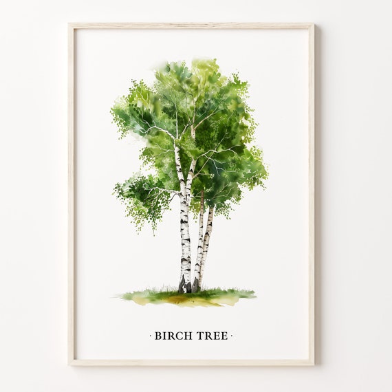 Birch Tree Art Print Birch Tree Wall Art Poster Nature Decor Black And White Forest Print Home Decor Gift C31 529