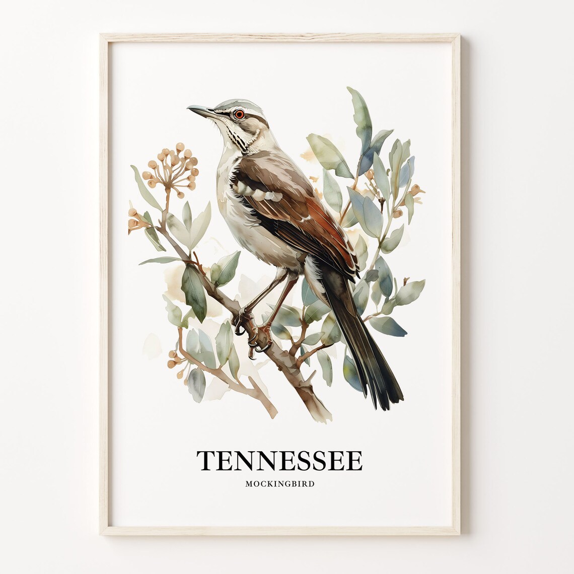Tennessee State Bird Art Print, Nature Illustration
