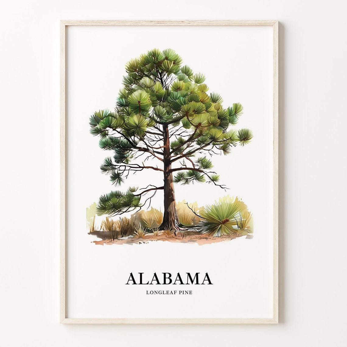 Alabama Longleaf Pine State Tree Southern Forest Botanical Art Poster
