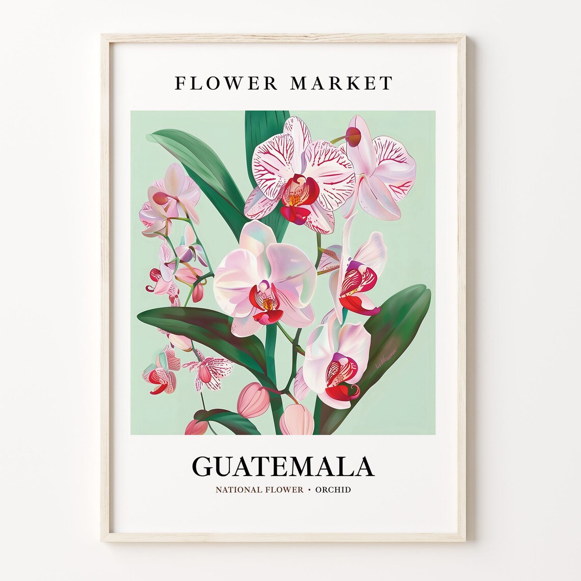 Guatemala Flower Market Botanical Wall Art Print