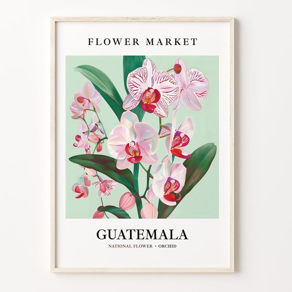 Guatemala Flower Market Botanical Wall Art Print