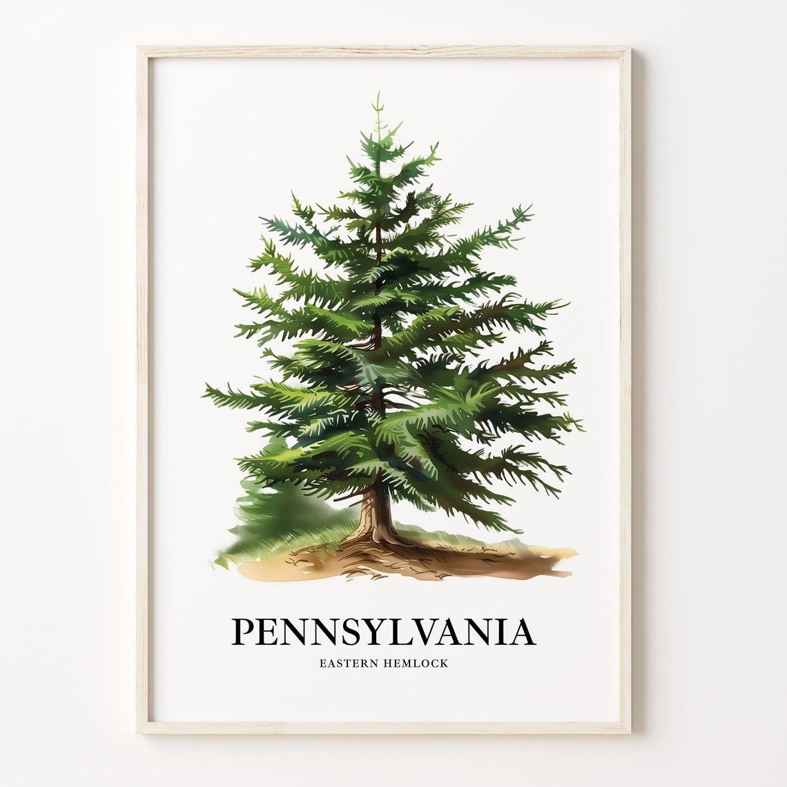 Pennsylvania Eastern Hemlock Watercolor Tree Illustration Poster