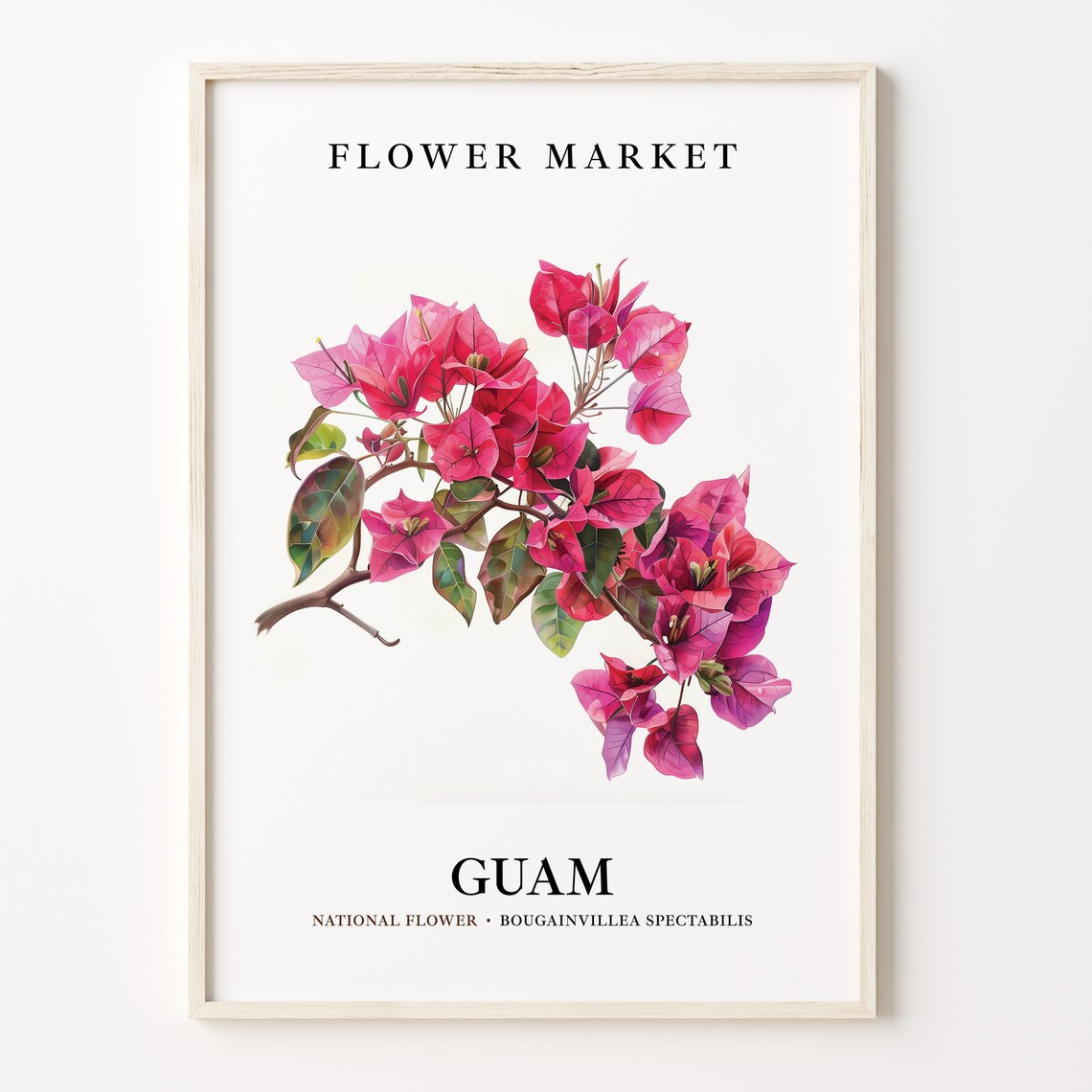 Bougainvillea Spectabilis Botanical Wall Art Print