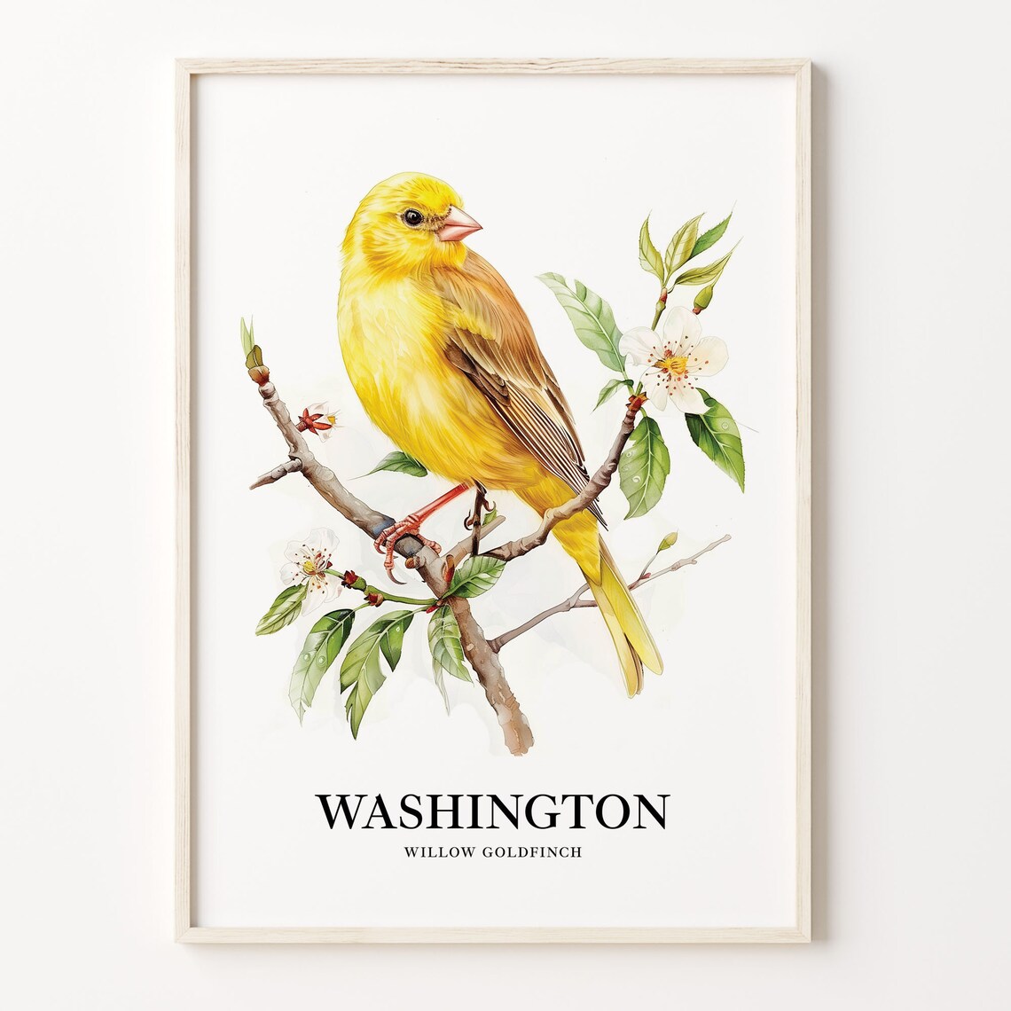 Washington Willow Goldfinch Watercolor Bird Illustration Poster