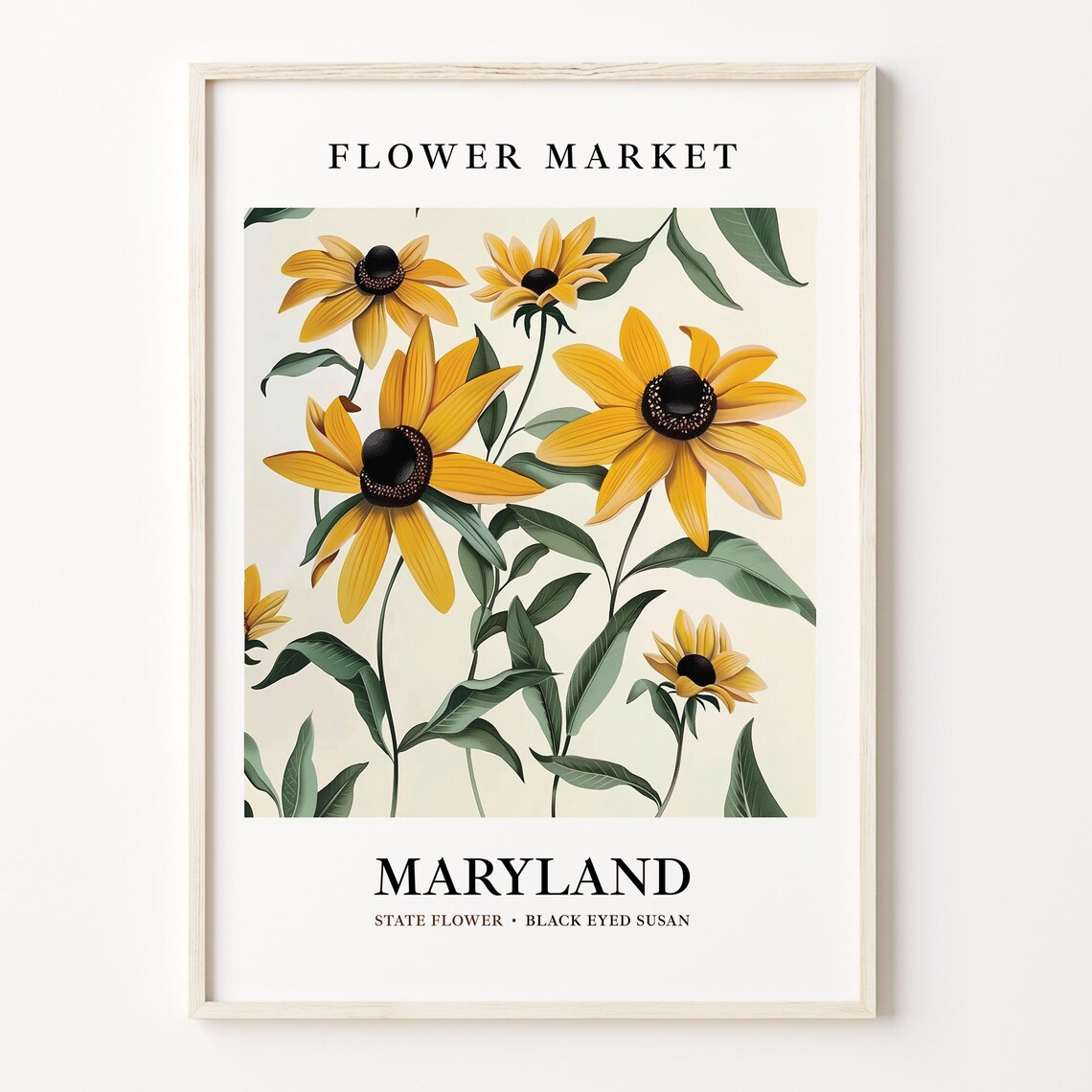 Maryland State Flower Black Eyed Susan, 1960s Art Print