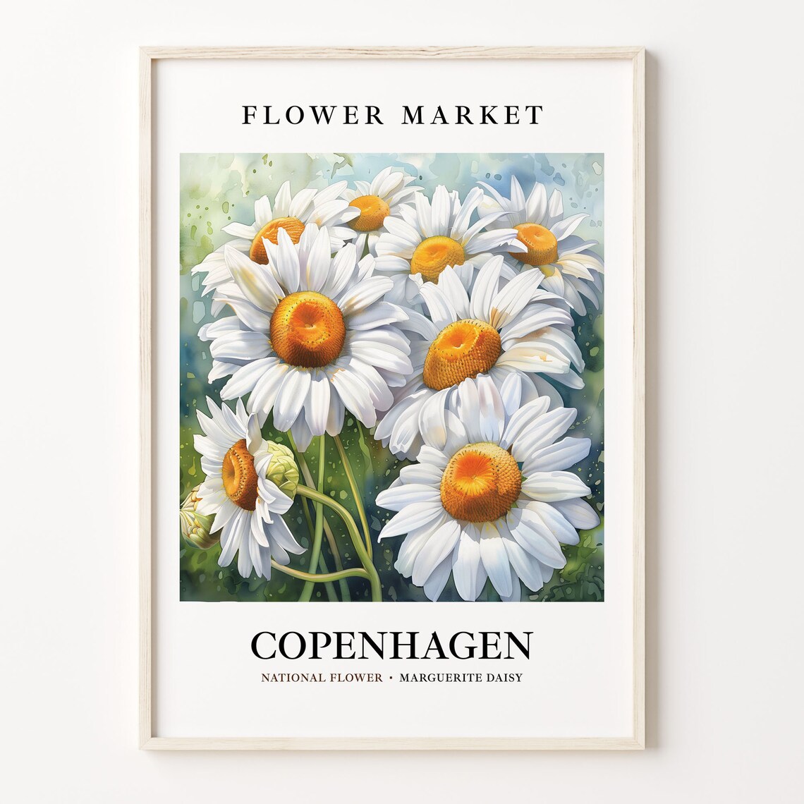 Copenhagen Marguerite Daisy Flower Market Watercolor Floral Art Poster