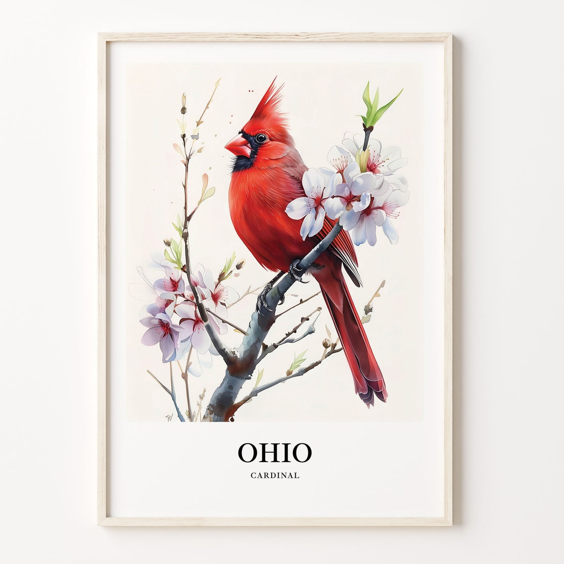 Scarlet Ohio Cardinal Watercolor Bird Illustration Blossom Poster