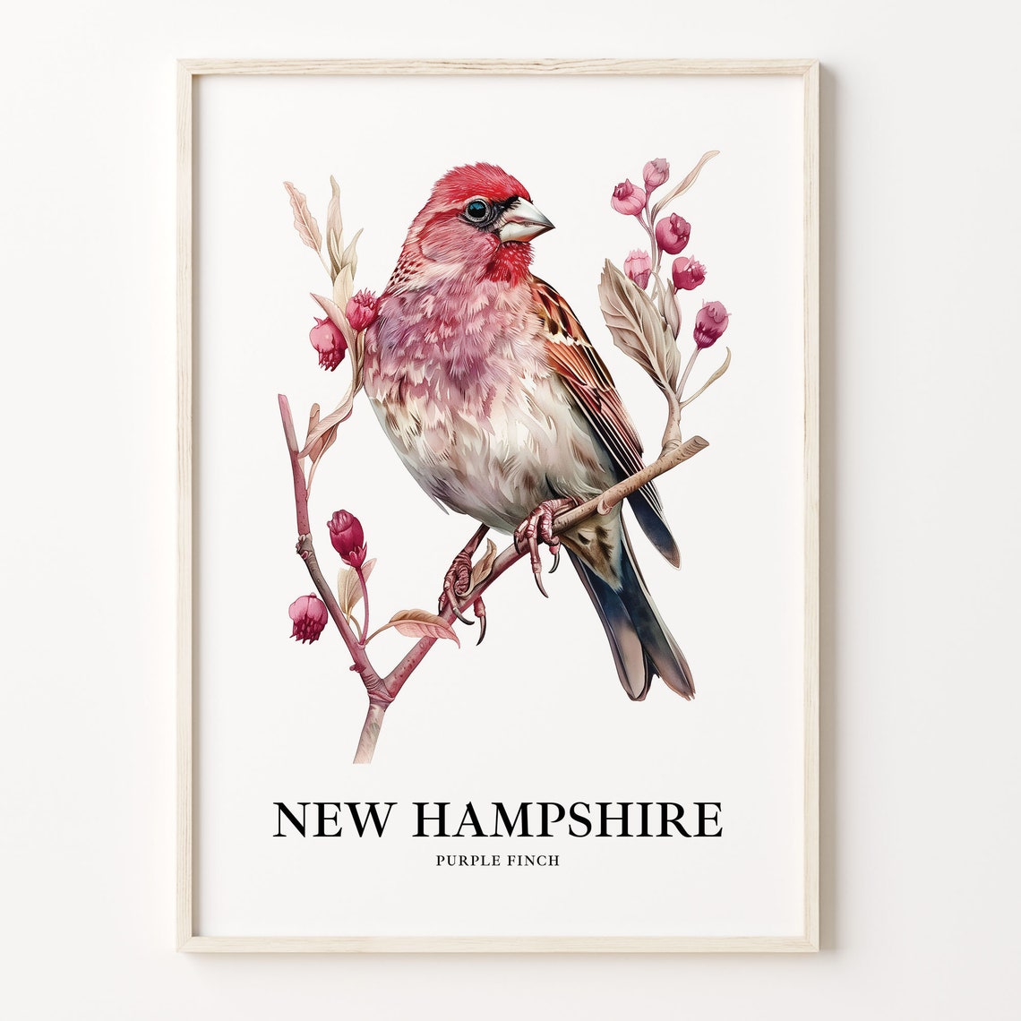 New Hampshire Purple Finch Watercolor Bird Illustration Poster
