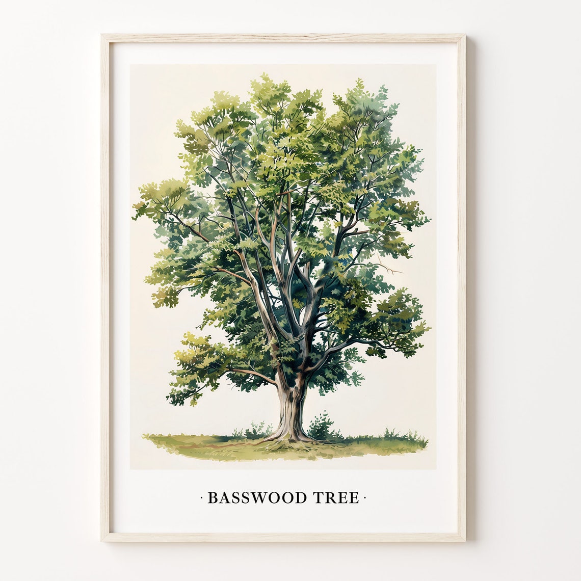 Basswood Tree Watercolor Botanical Leafy Green Shade Tree Art Poster