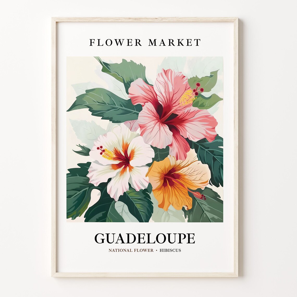 Guadeloupe Hibiscus National Flower Market Botanical Art Poster