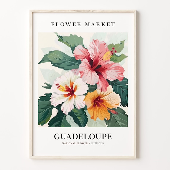 Guadeloupe Flower Market Art Print Hibiscus Wall Art Botanical Pastel Artwork Guadeloupe Flower Decor C31 327