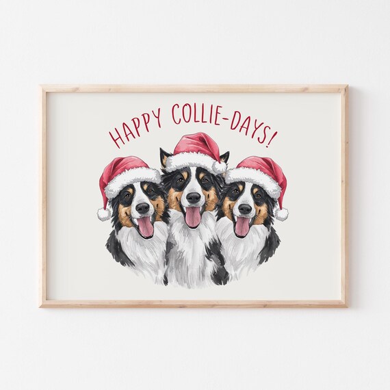 Happy Collie-Days Christmas Poster with Three Collies in Santa Hats