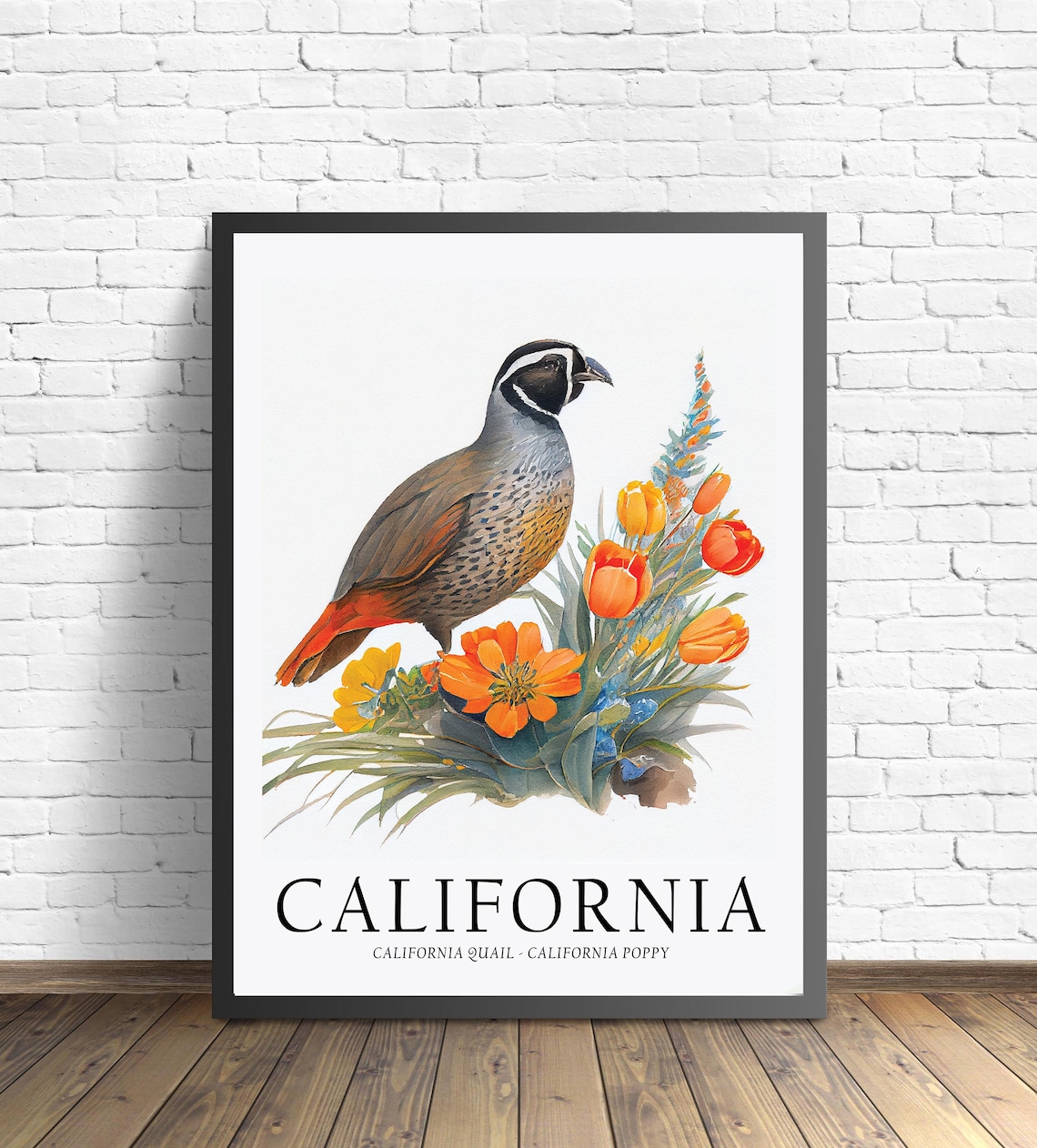 California State Bird and Flower Art Print