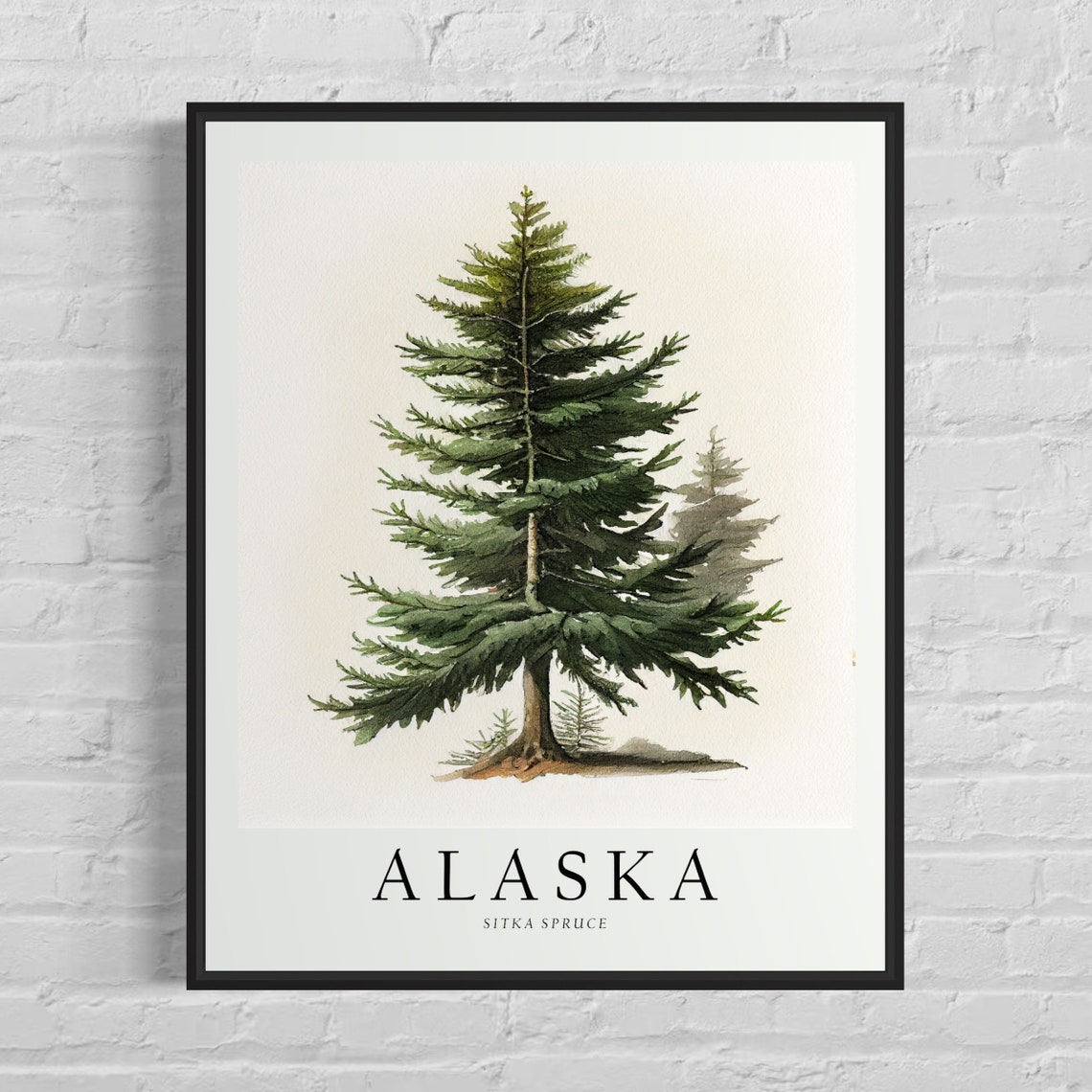Alaska Sitka Spruce Watercolor State Tree Botanical Art Print