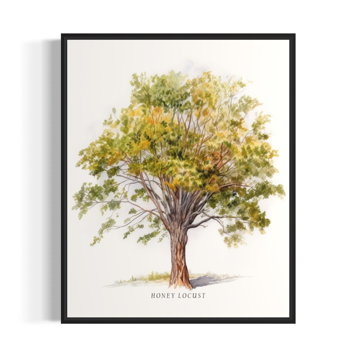 Honey Locust Tree Art Print Honey Locust Tree Wall Art Poster