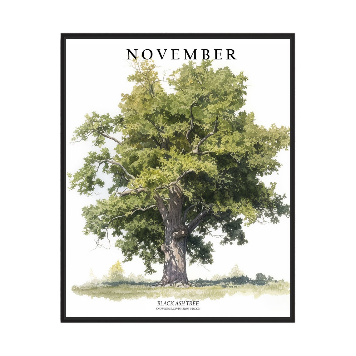 November Black Ash Tree Watercolor Botanical Tree Illustration Poster