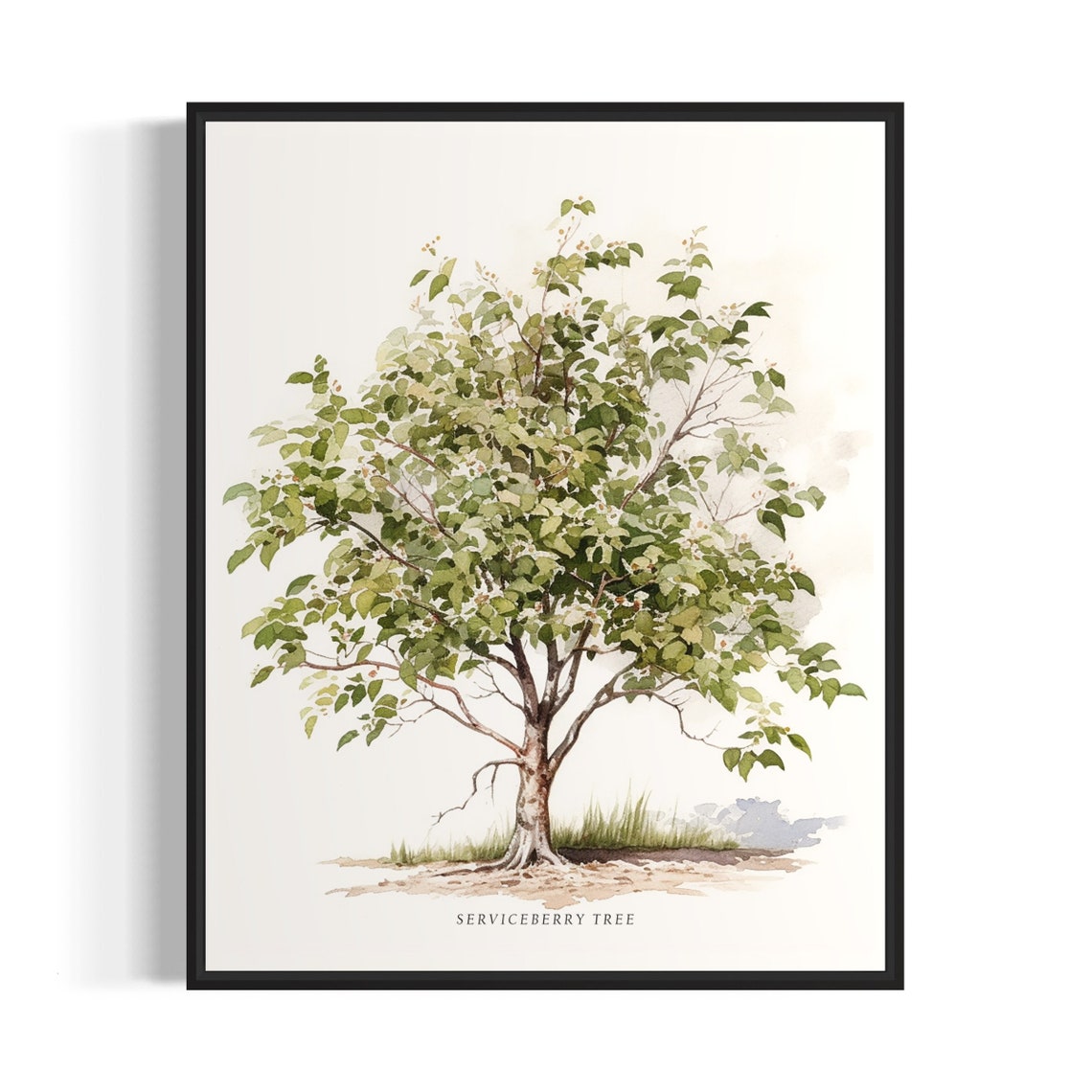 Serviceberry Tree Art Print Serviceberry Tree Wall Art Poster