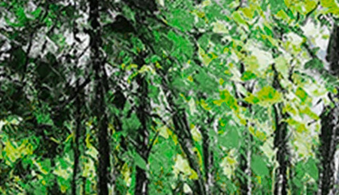 Green Birch Forest Path with Stream Panoramic Oil Painting Art Print - Image 2