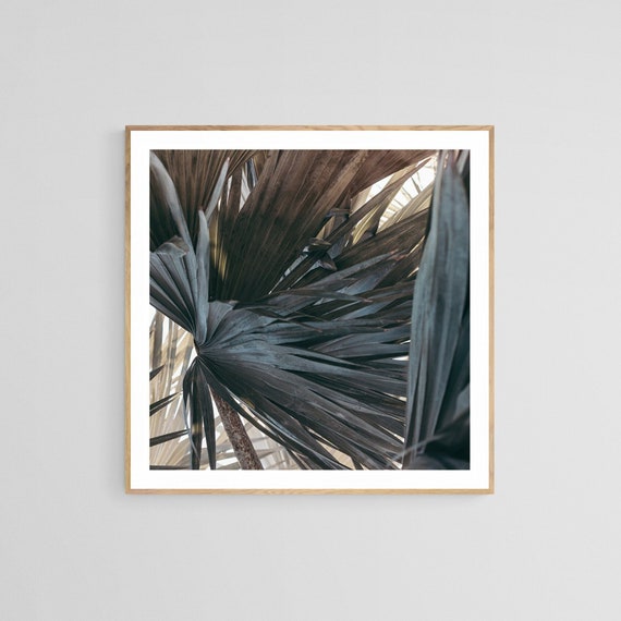 Palm Tree Print, Tropical Art Aged Palm