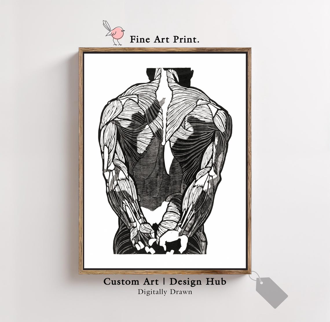 Black and White Male Back Muscles Anatomy Line Drawing Wall Art