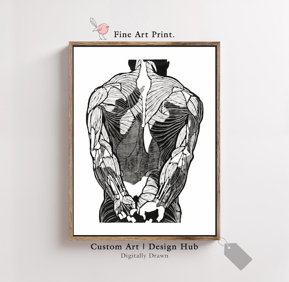 Black And White Anatomy Print Male Muscular System Wall Art Medical Illustration Poster
