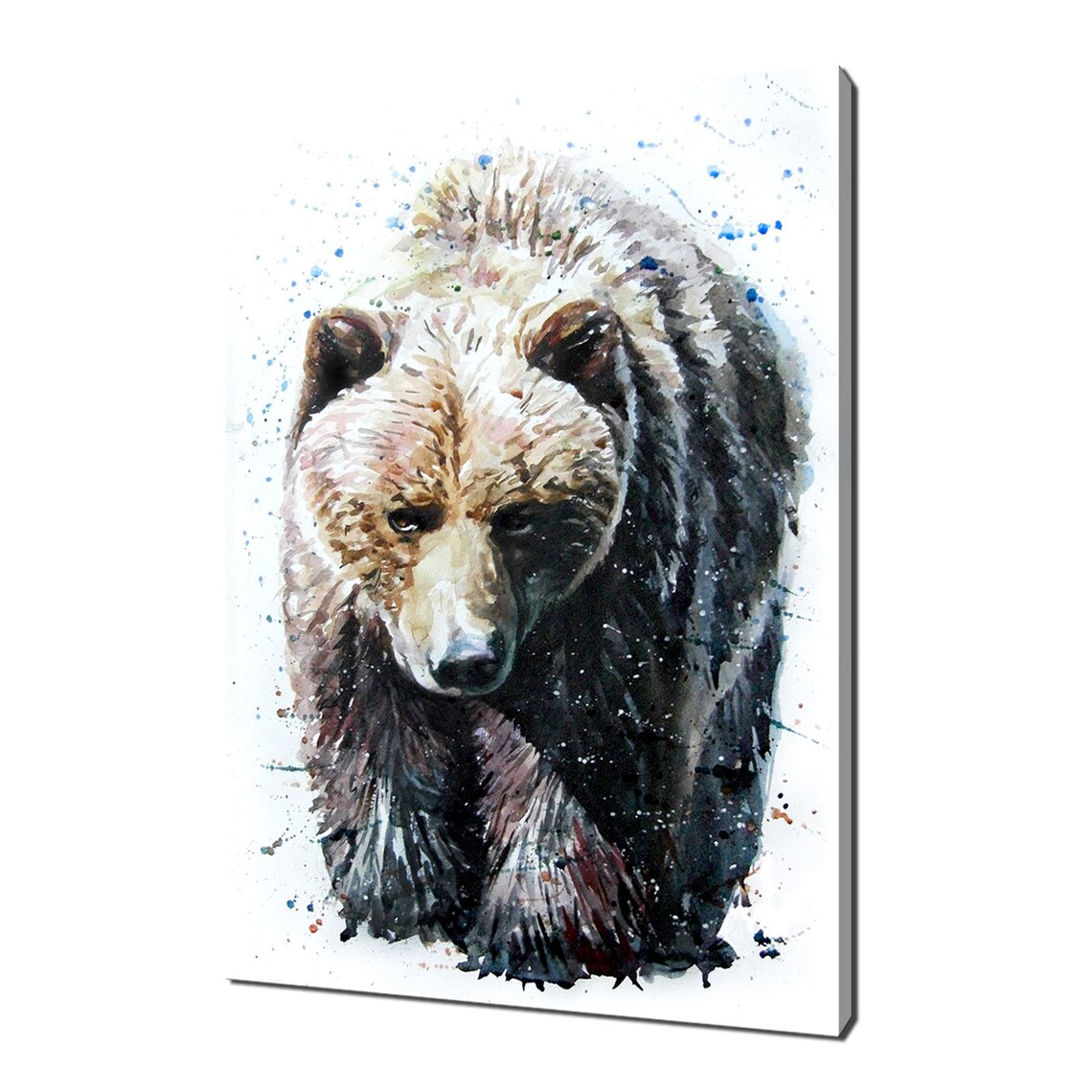 Grizzly Bear Watercolor Portrait Splash Brown Bear Animal Poster