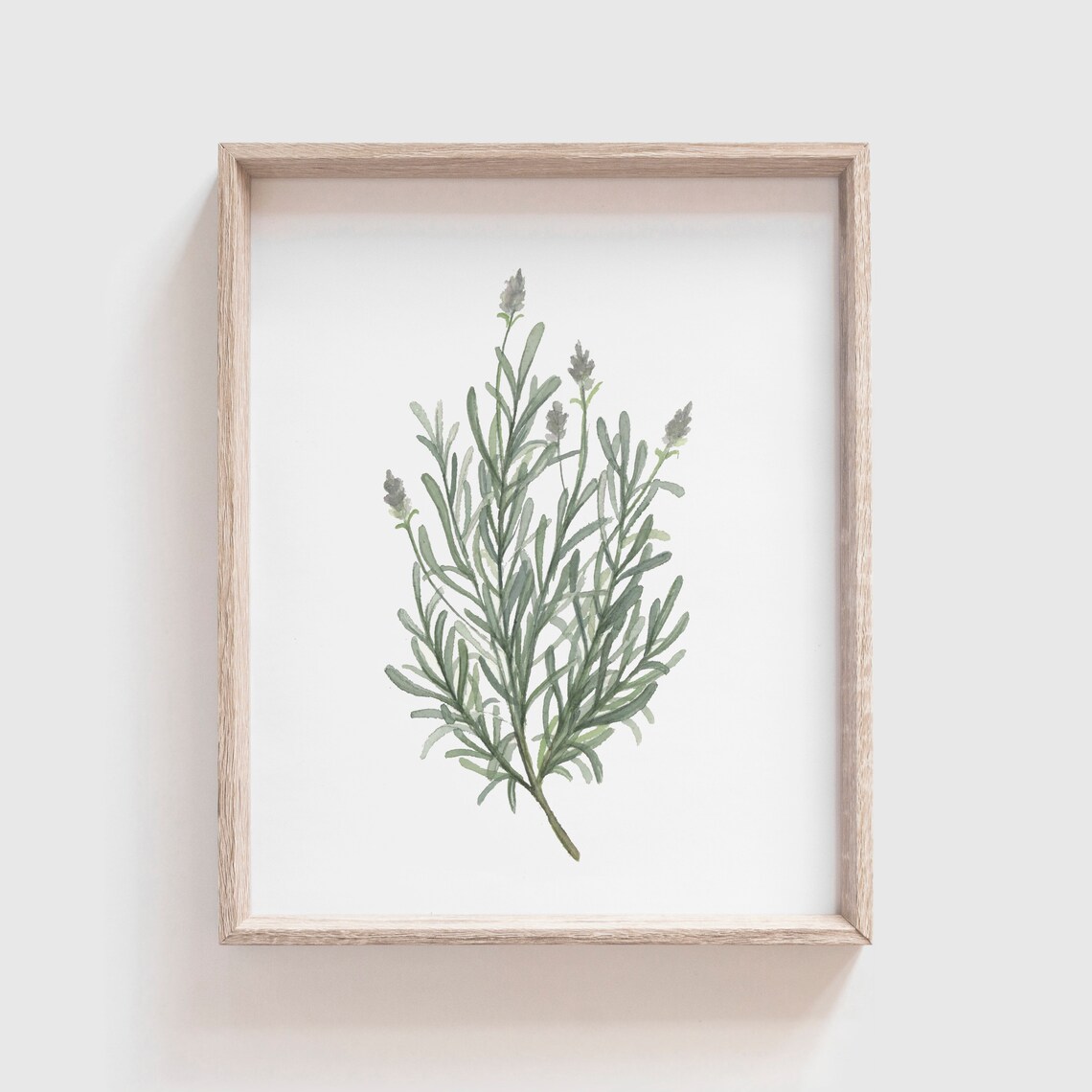 Lavender Watercolor Herb Art Print, Kitchen Decor
