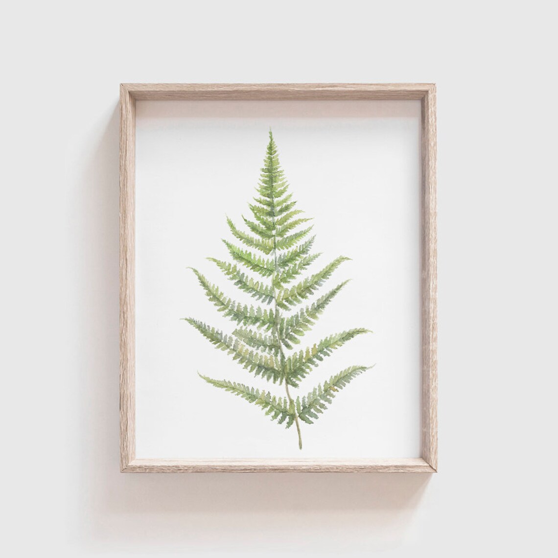 Fern No 2 Watercolor Art Print, Botanical Decor