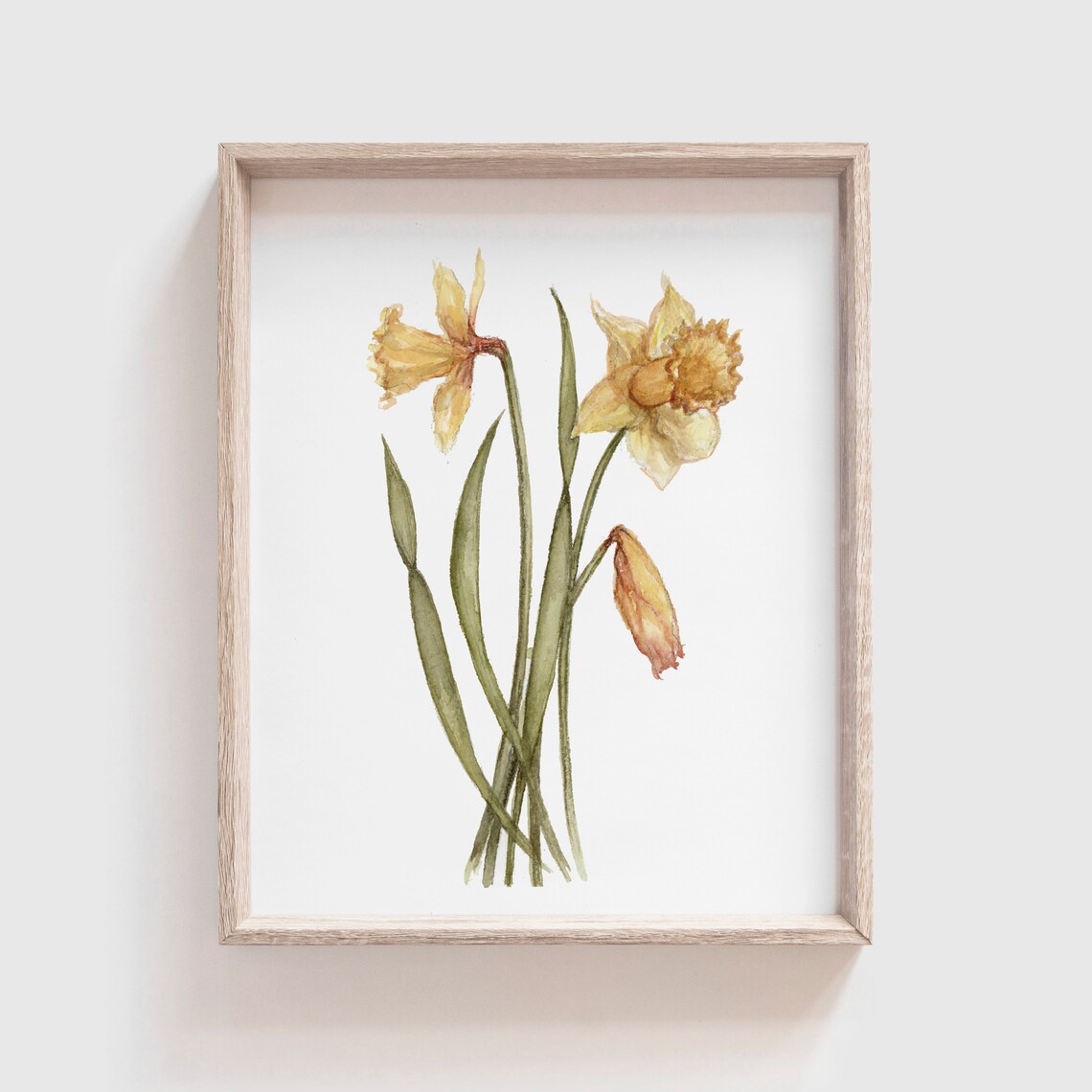 Daffodil Watercolor Flowers Art Print, Home Decor