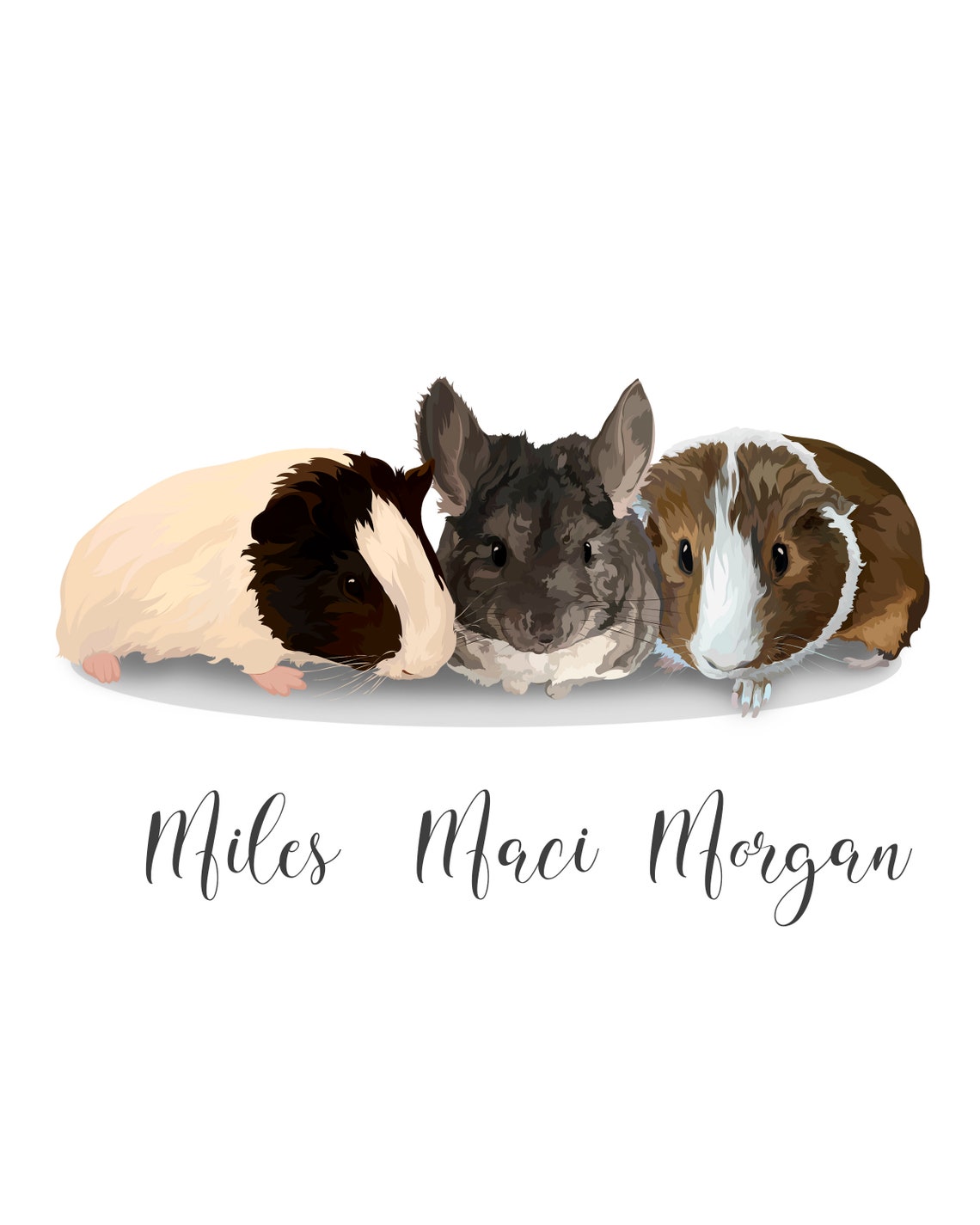 Custom Three Dog Portrait Roo Ollie Winnie Vector Gift Poster - Image 5