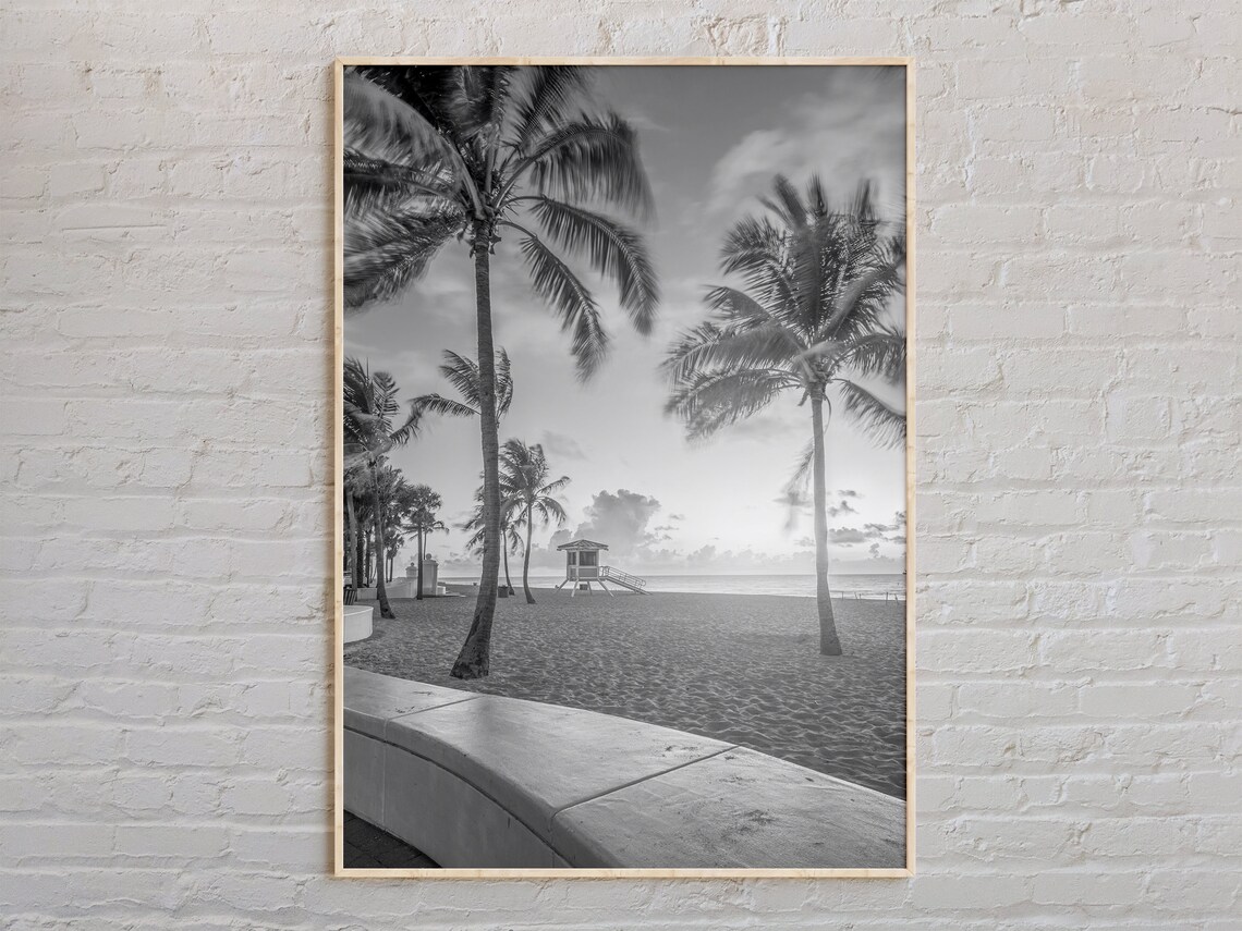 Florida Beach Palm Trees Black and White Coastal Photo Poster