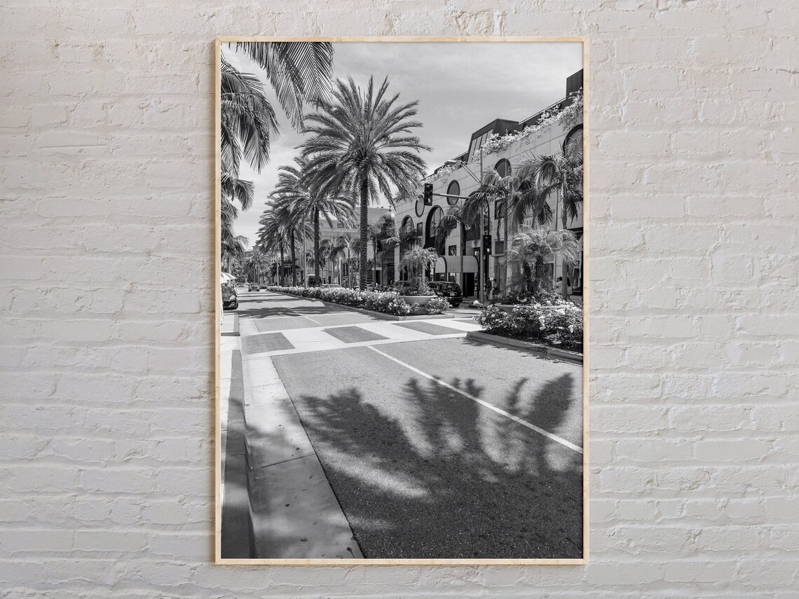 Los Angeles Palm Tree Street Black And White Photography Poster