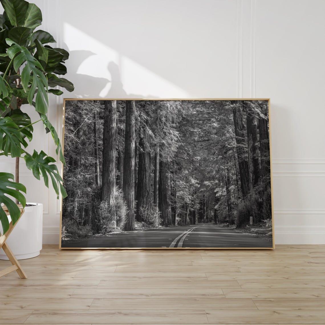 Redwoods Road Through Giant Forest Trees Black and White Poster - Image 2