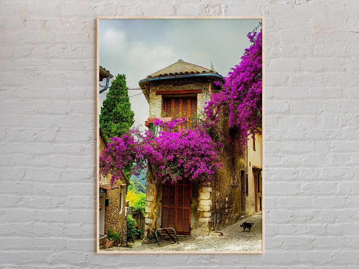French Village Stone Street Purple Bougainvillea Blooms Travel Poster