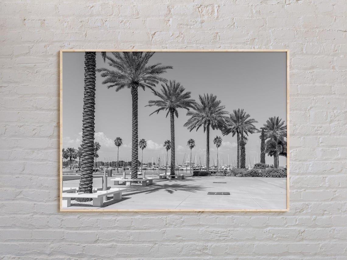 Black And White St Petersburg Print St Petersburg Wall Art St Petersburg Poster St Petersburg Photo St Petersburg Wall Decor
