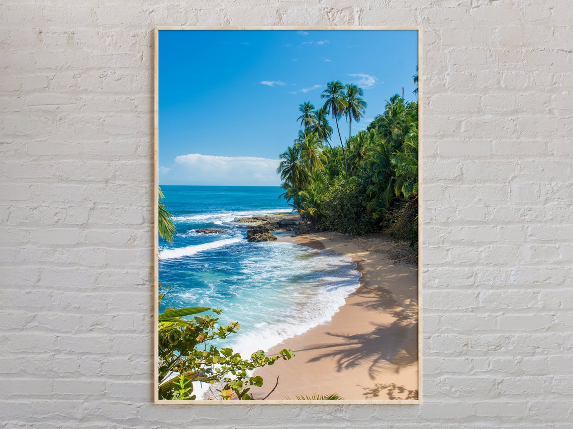Costa Rica Tropical Beach Palm Trees Turquoise Surf Landscape Poster