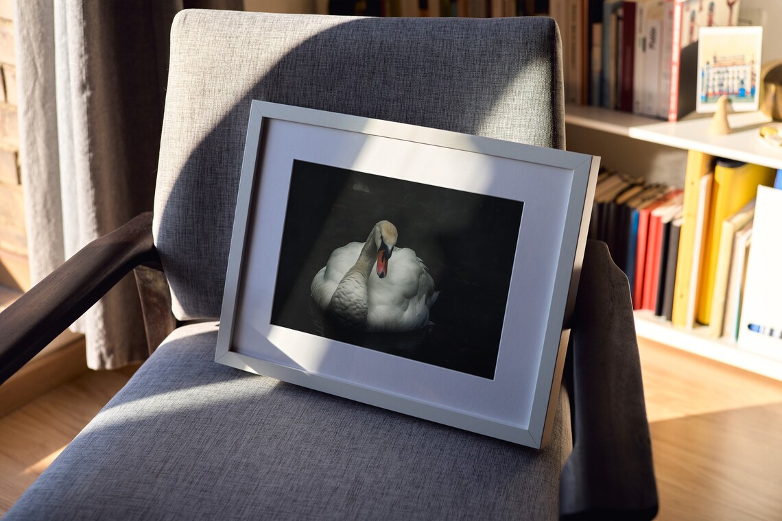 White Swan on Dark Water Moody Black Dark Academia Painting Poster - Image 3
