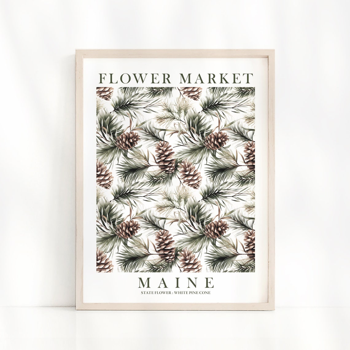 Maine Flower Market White Pine Cone Evergreen Botanical Art Poster