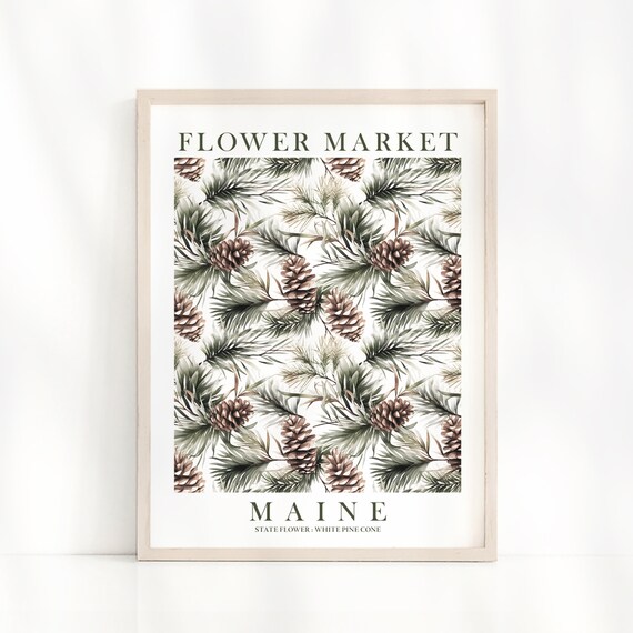 Maine Flower Market White Pine Cone Evergreen Botanical Art Poster