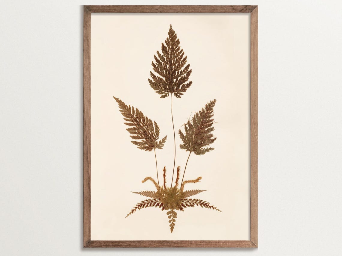 Fern Print No. 06, Vintage Botanical Art Print
