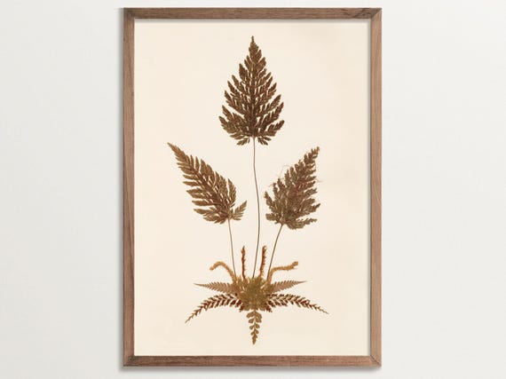 Fern Print No. 06, Vintage Botanical Art Print