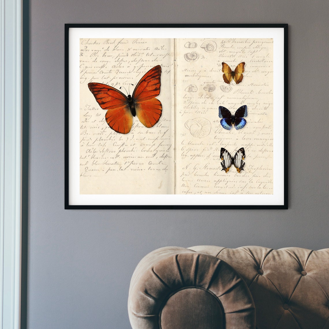 Butterfly Wall Art Altered Vintage Collage Art Shell Study Notebook Smithsonian Wall Art