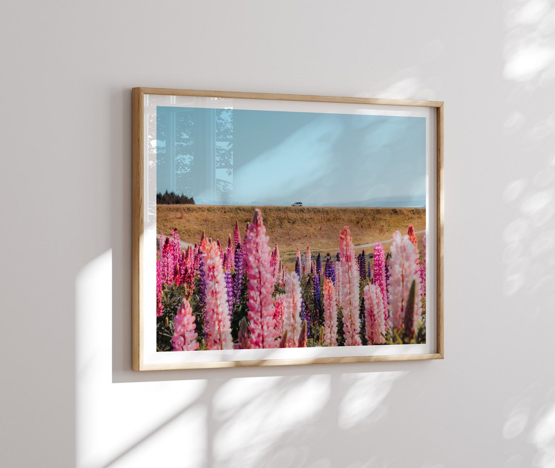 New Zealand Lupin Field Pink Purple Flowers Spring Wall Poster - Image 2