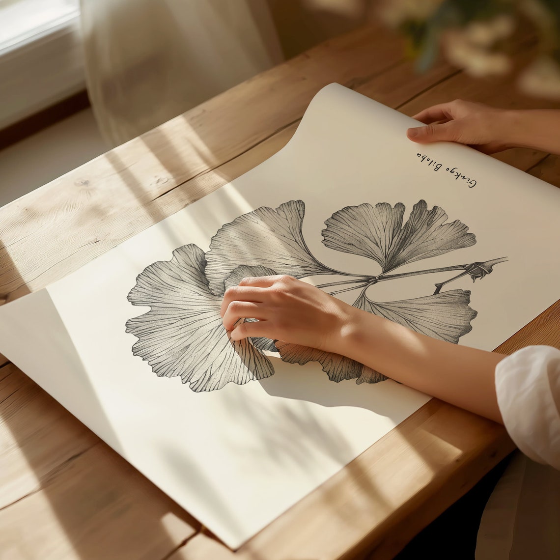 Ginkgo Biloba Leaf Botanical Pencil Sketch Minimalist Wall Art Poster - Image 4