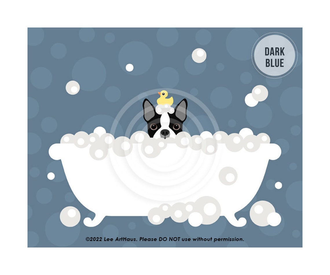 Boston Terrier In Bubble Bath With Rubber Duck Funny Dog Art Poster