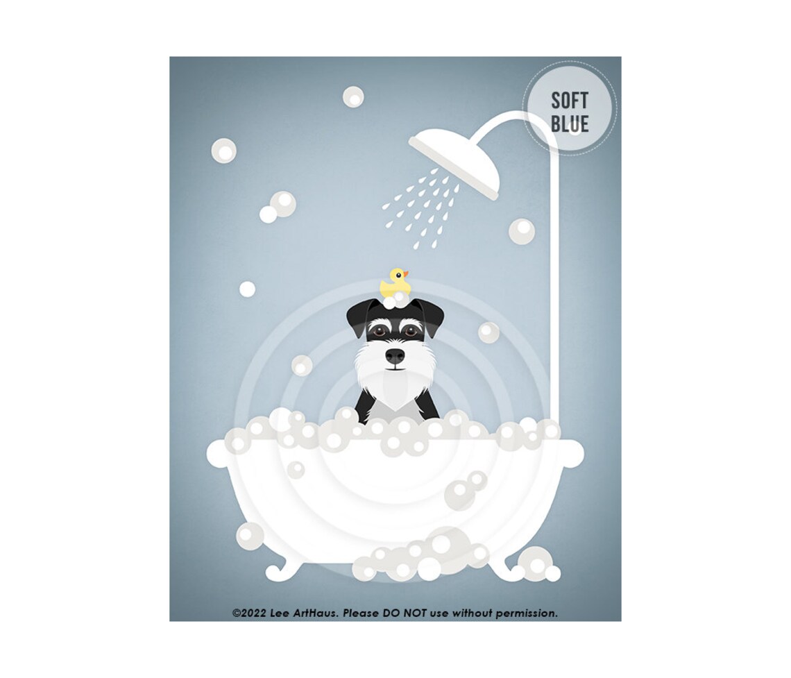 Black And Silver Schnauzer In Shower Bath With Rubber Duck Poster - Image 2