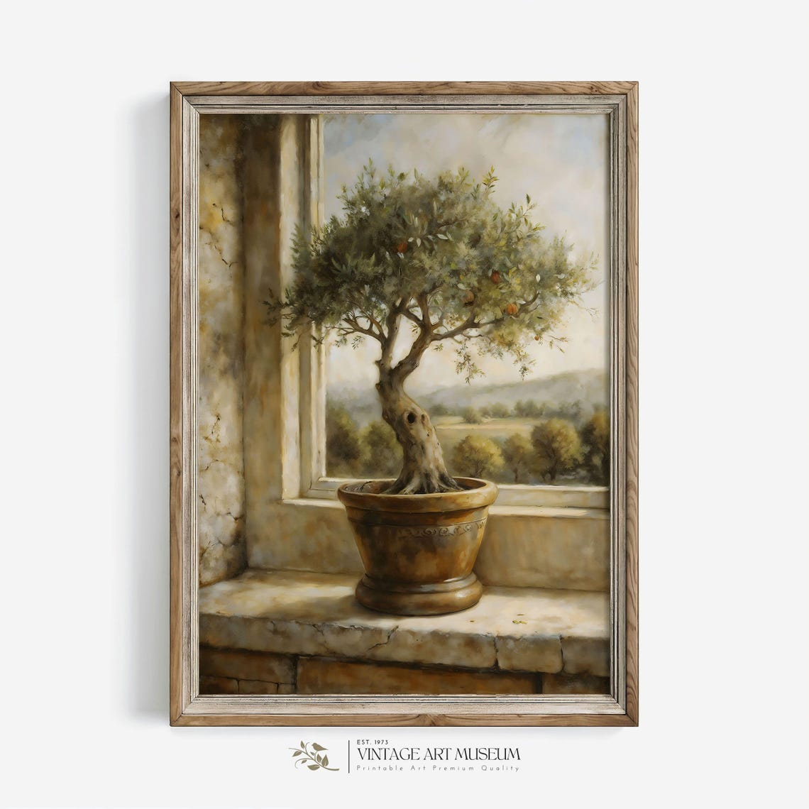 Potted Olive Tree Stone Windowsill Mediterranean Terrace Scene Poster