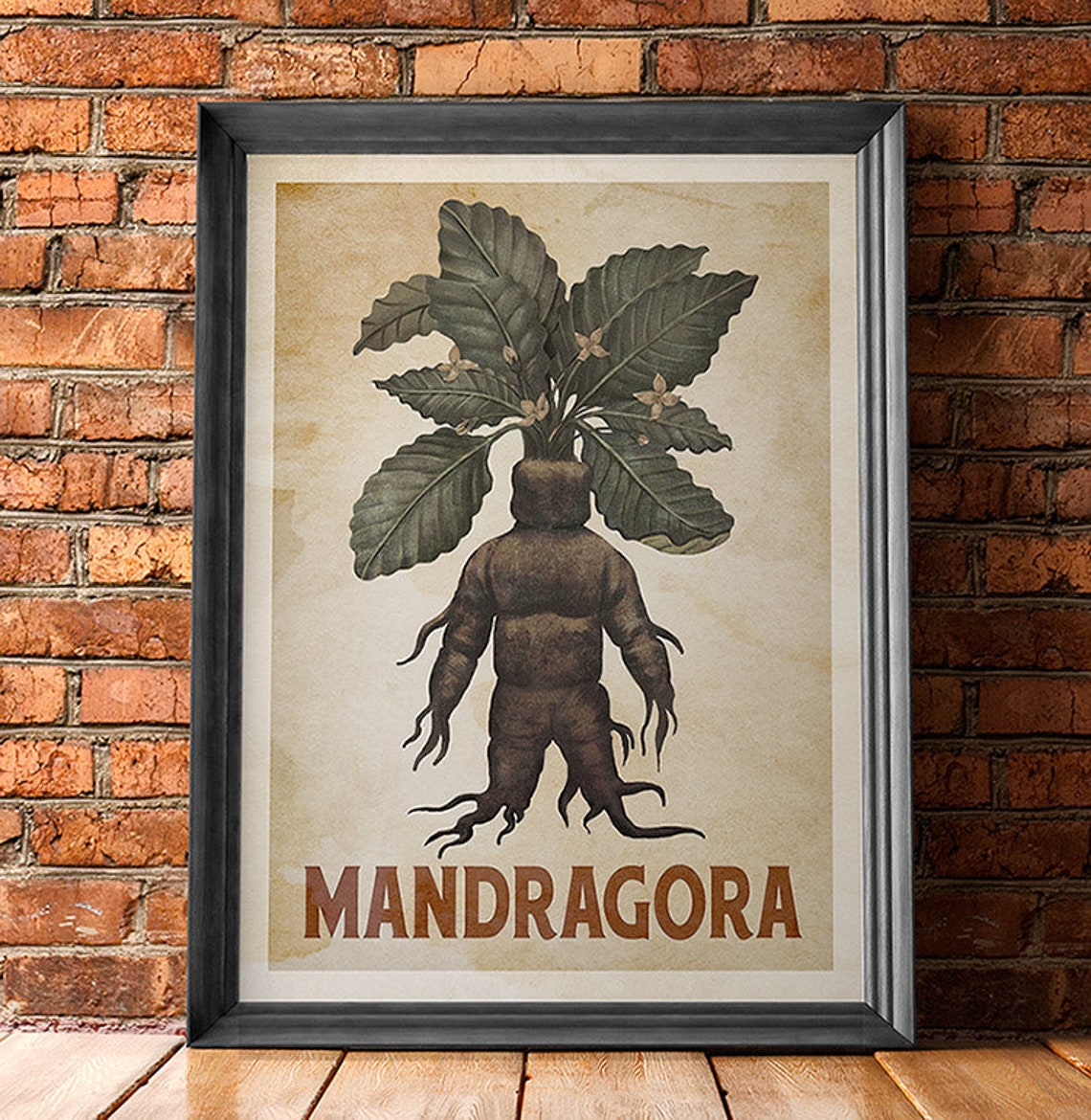 Mandragora Mandrake Vintage Poster, Retro Kitchen Art